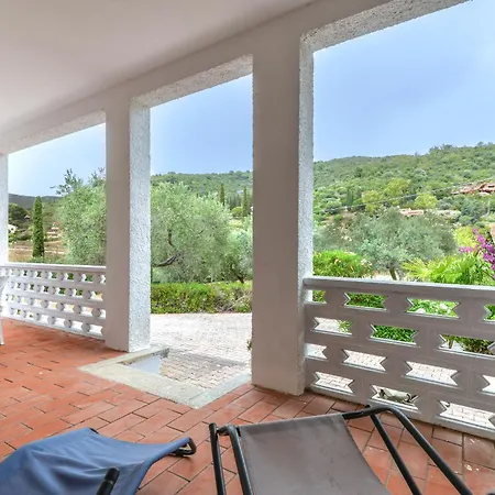 Conti * Lacona