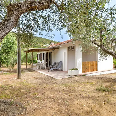 Conti Apartamento