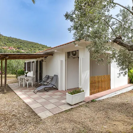 Conti Apartamento *