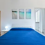 Conti * لاكونا