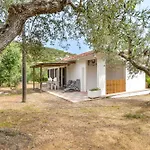 Conti شقة