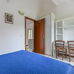 Conti * لاكونا